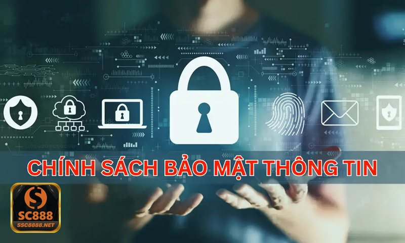 Chính Sách Bảo Mật - Nhóm thông tin được hệ thống ghi nhận