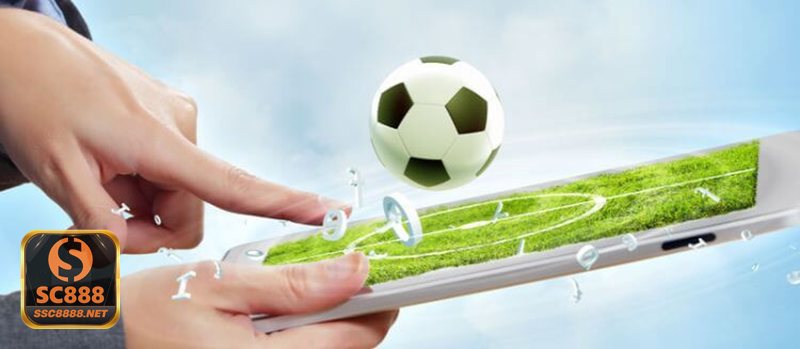 Nhà Cái Uy Tín SC888 - Quy tắc game rõ ràng, dễ theo dõi và dễ hiểu Nhà Cái Uy Tín SC888 - Quy tắc game rõ ràng, dễ theo dõi và dễ hiểu